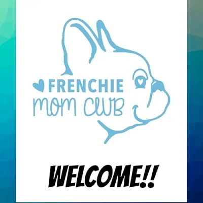 Frenchie Mom Club
