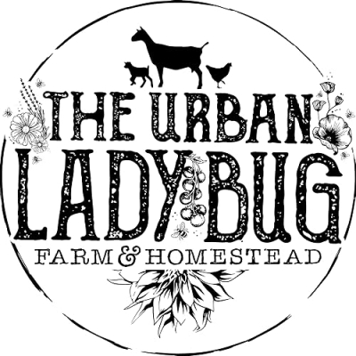 The Urban LadyBug Farm & Homestead Profile
