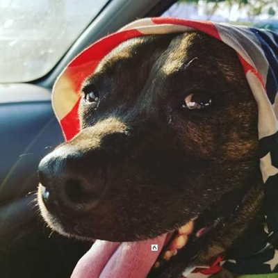 The Smalley Show Profile