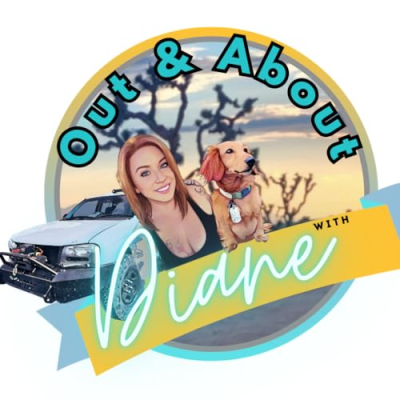 Out And About With Diane Amazon Store Profile