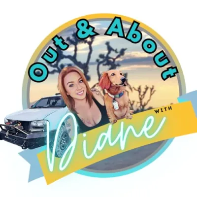 Out And About With Diane Amazon Store