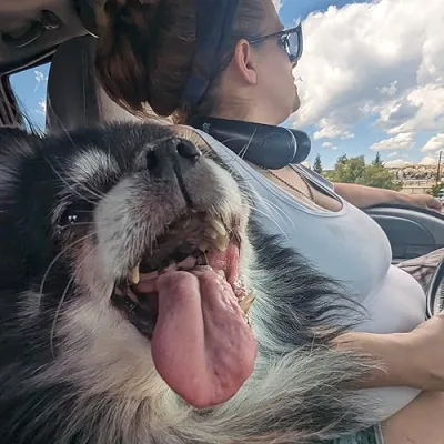 Ashley Ivey- Steverson