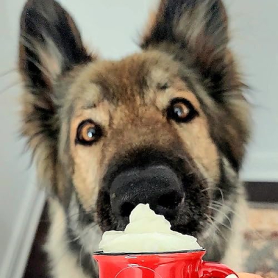 My Amazon Findz Profile