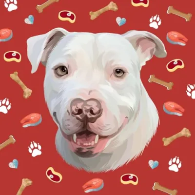 The Benny Blanco Show