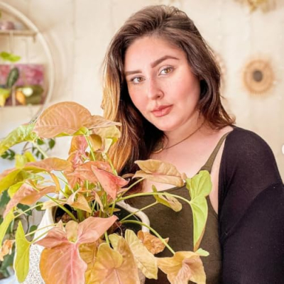 My Go-To Planty Products Profile