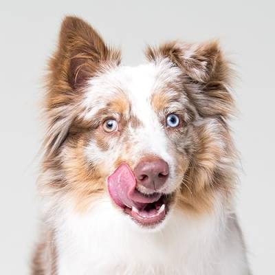 Indy’s Favorites Profile