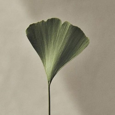 Lauren Baca, FNTP & Herbalist Profile