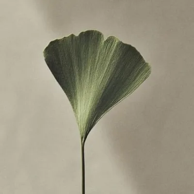 Lauren Baca, FNTP & Herbalist