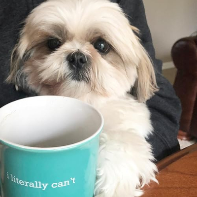 Harvey's Store Profile