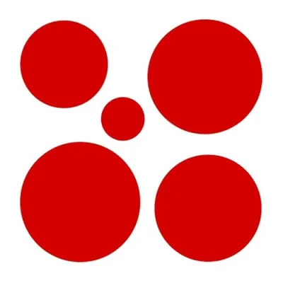 Japanese Cooking 101