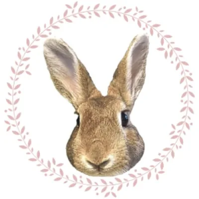 Coco Chanel’s Amazon Favorites!