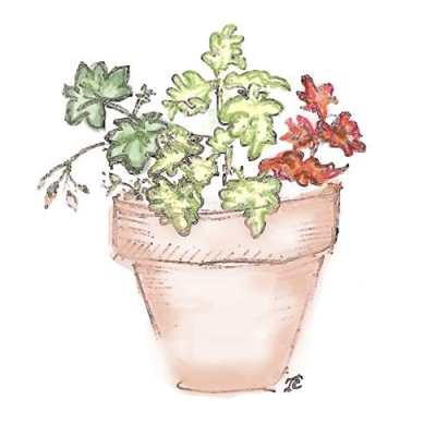 Ilona's Garden Flavor Profile