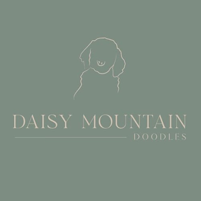 Daisy Mountain Doodles Profile