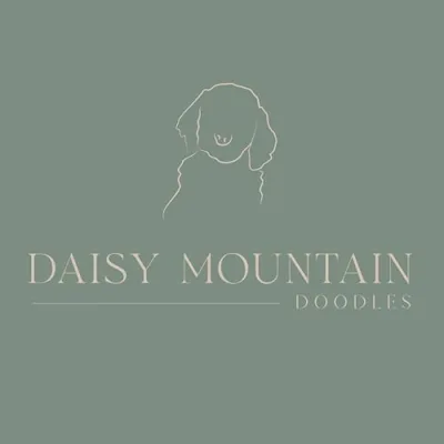 Daisy Mountain Doodles