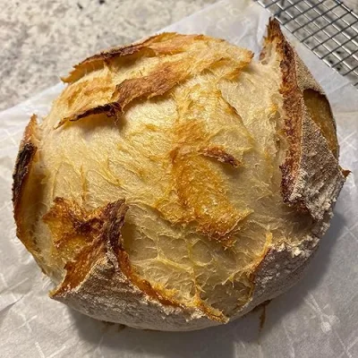 Maple Hollow Favorite Products