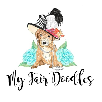 My Fair Doodles