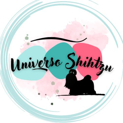 UNIVERSO SHIH TZU Profile
