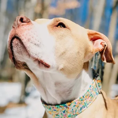 Fry’s Favorite Things