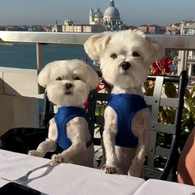 Bradley and Chandler Profile