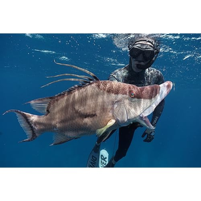 Spearfishing with Cameron Kirkconnell Profile