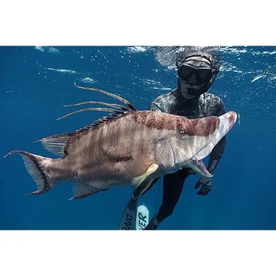 Spearfishing with Cameron Kirkconnell