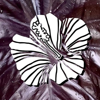 Aloha Plant Life Profile