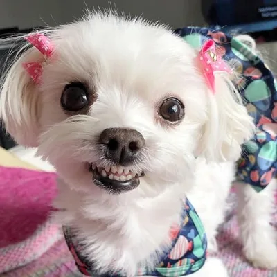 Perry Smiles and Sarah