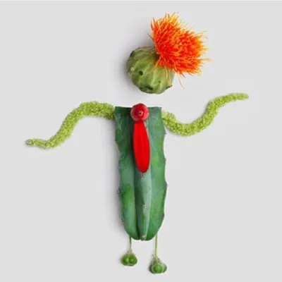 Cactus Magazine 🌵🌵