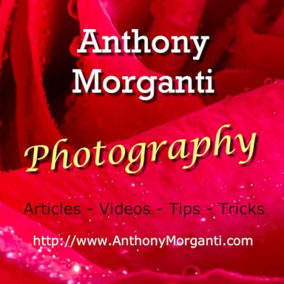 Anthony Morganti Profile
