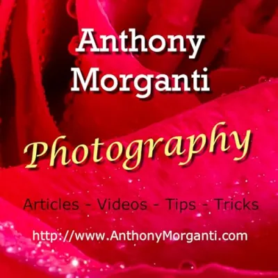 Anthony Morganti