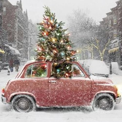 Christmas Vibes Profile