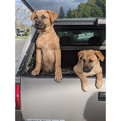 Poppy and Honey Profile