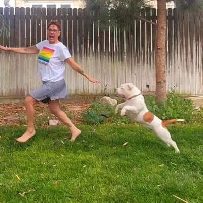 kat.ass.trophic_failure