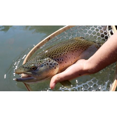 Ace Videos Outdoor Equipment Profile