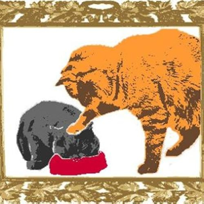 Animals Are Jerks Profile