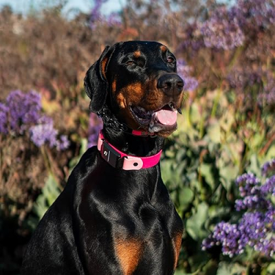 Nami + Sunna Profile