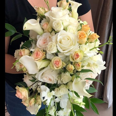 Cecilia Fiad Profile