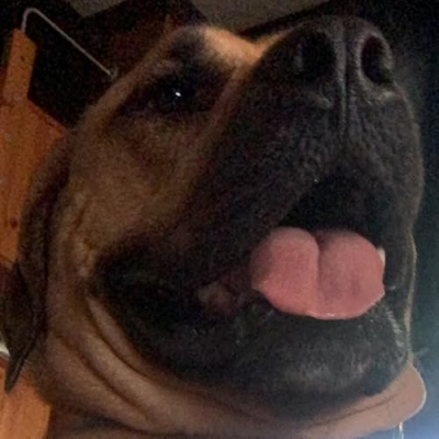 Fastboul Shop Profile