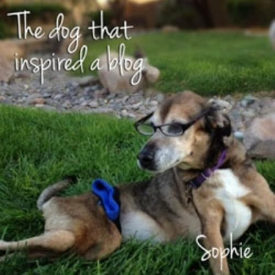 Dog Wheelchair LIFE Profile