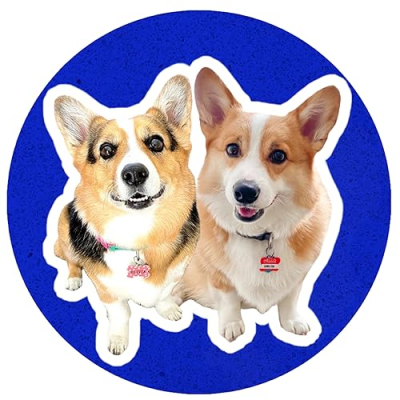 Hammy & Olivia's Favorite Things Profile