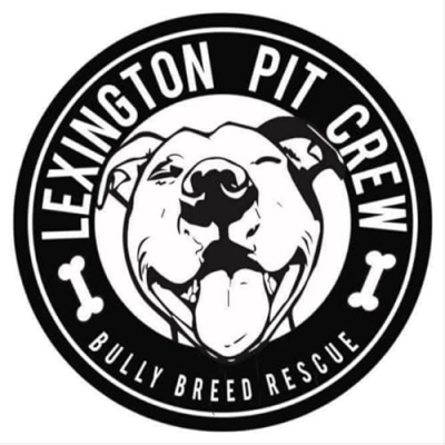 Lexington Pit Crew Profile