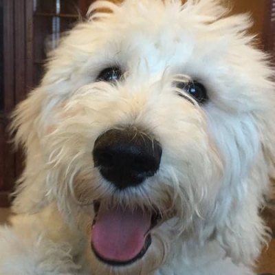 Bentley Sheets Profile