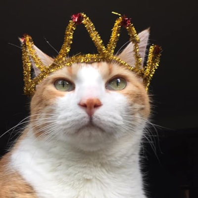 Butters The Bean Store Profile