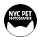 NYC Pet Photographer