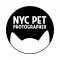 NYC Pet Photographer Profile
