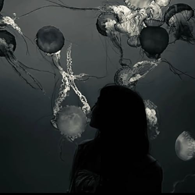 Gracie’s must haves Profile