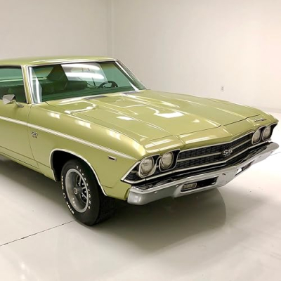 Cars And Zebras Profile