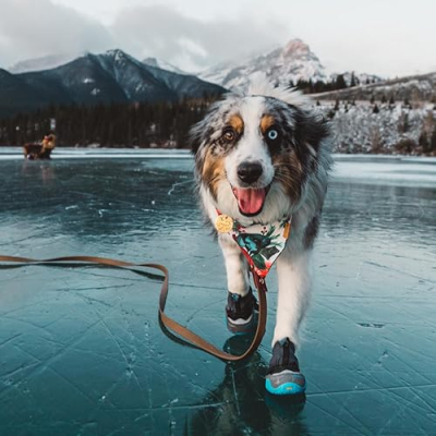 JustBeingFarley's Amazon Store Profile