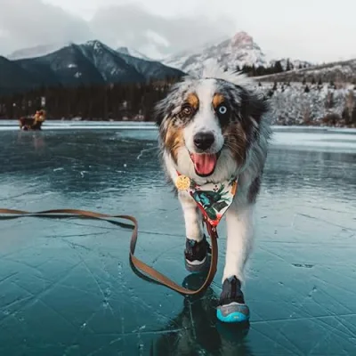 JustBeingFarley's Amazon Store