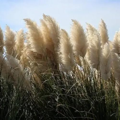 Marlene’s Amazon Storefront Profile